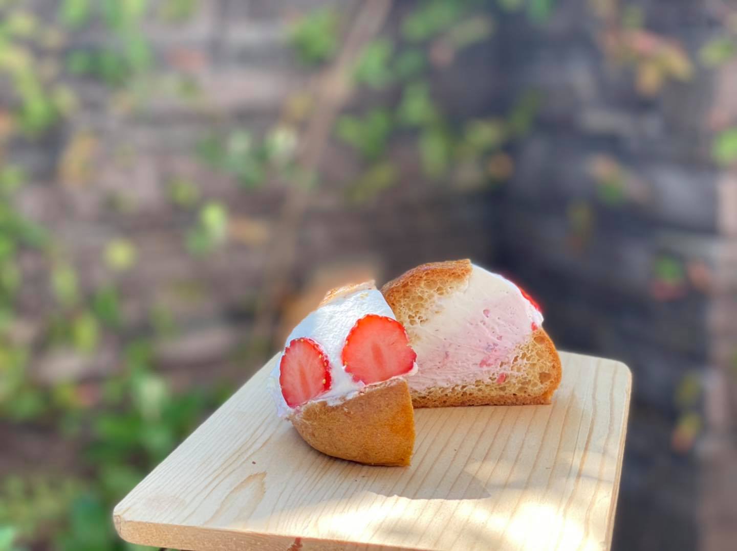 オプシアミスミにて臨時出店中です